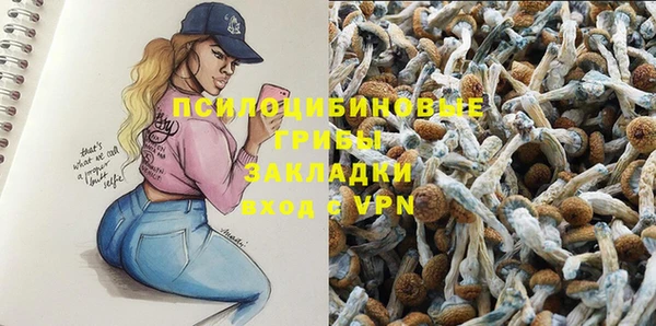 прущие грибы Лиски