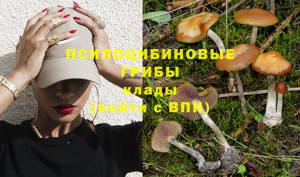 ешки Лабытнанги