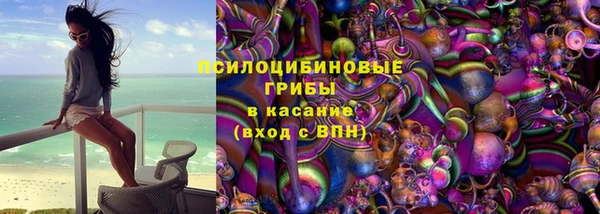 прущие грибы Лиски