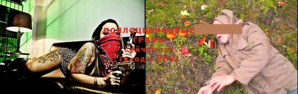 прущие грибы Лиски